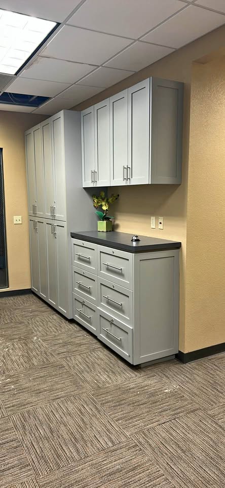 cabinets for office or garage